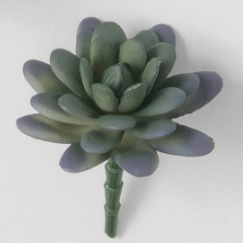 Small Succulent Pick - Drifts East