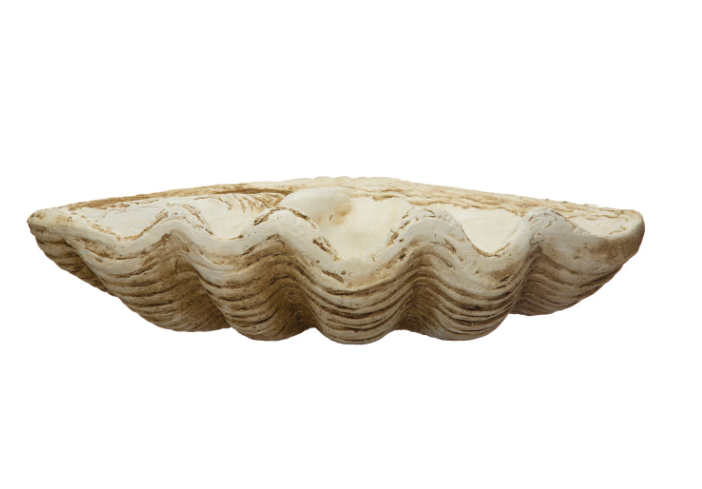 Magnesia Clamshell Decoration - Drifts East