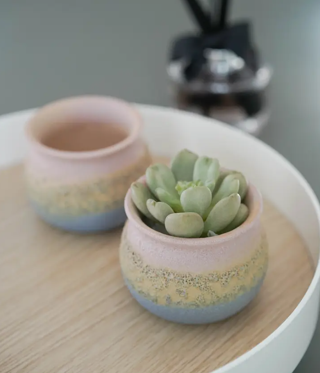 Small Egg Shaped Planter