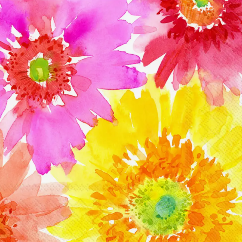 Colorful Gerbera Cocktail Napkins
