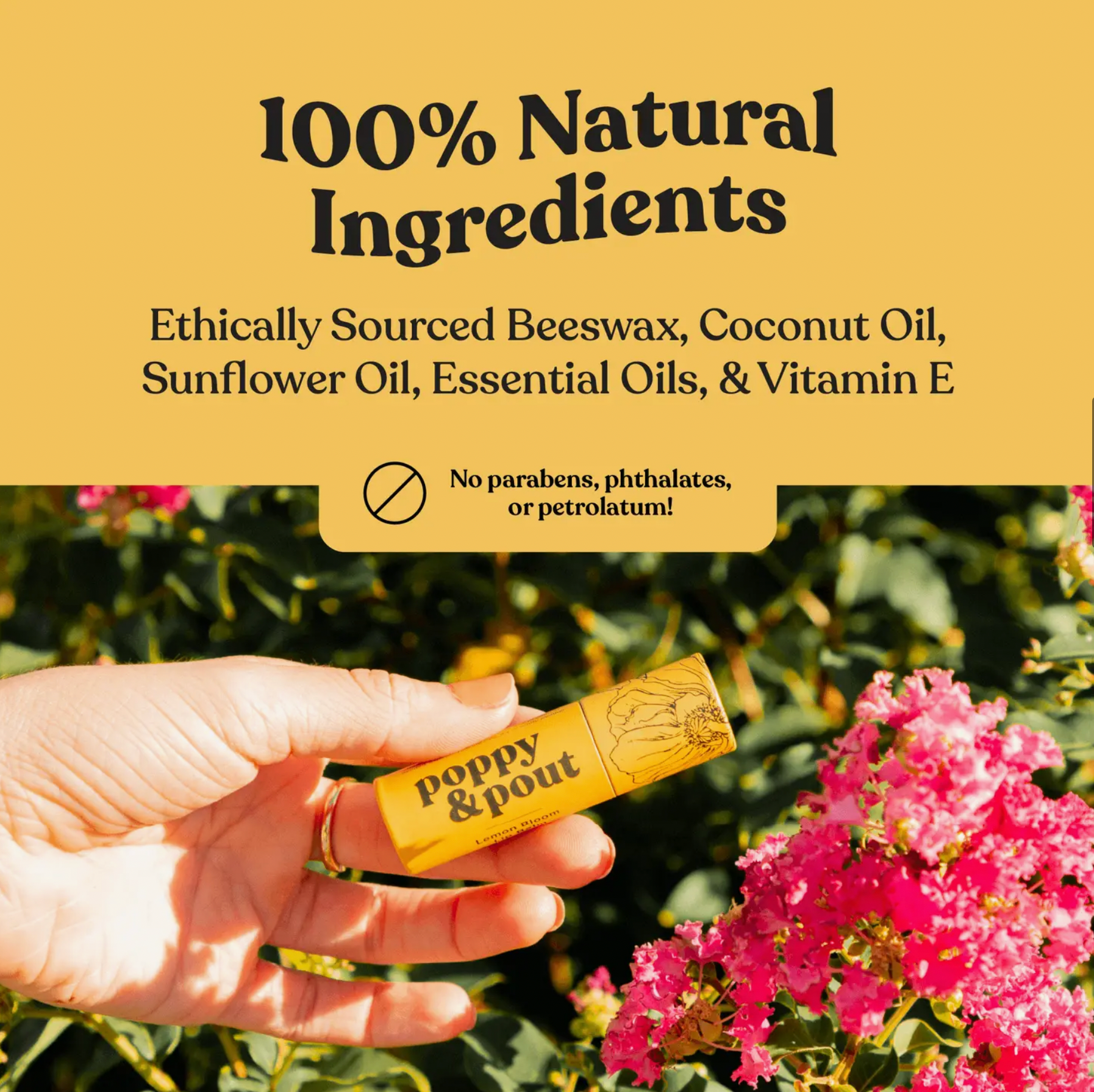 Island Coconut Lip Balm - Drifts East